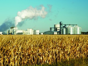 Produção de milho para biocombustível(Foto: Divulgação/Universidade de Illinois)